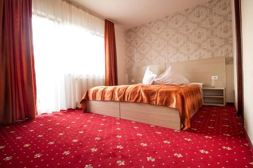 Pensiunea Perla Neamtului Minastirea Neamt エクステリア 写真