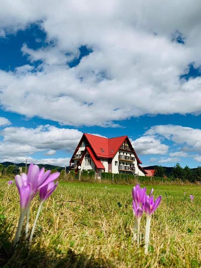 Pensiunea Perla Neamtului Minastirea Neamt エクステリア 写真